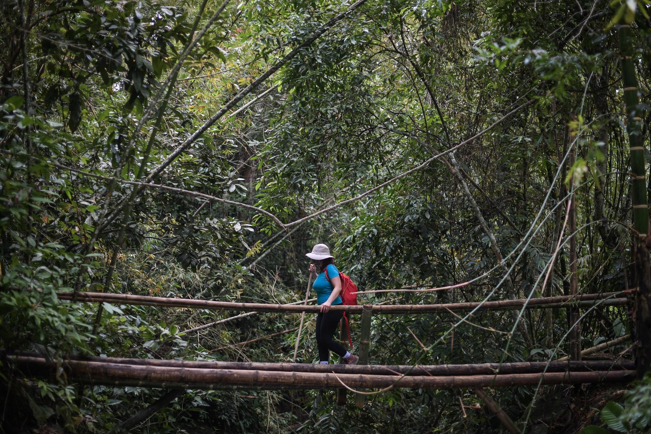 Tolima e Ibagué continúan consolidándose como destinos turísticos