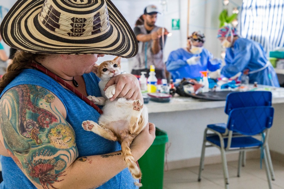 Corporación RAYA: 20 años ayudando animales en Colombia