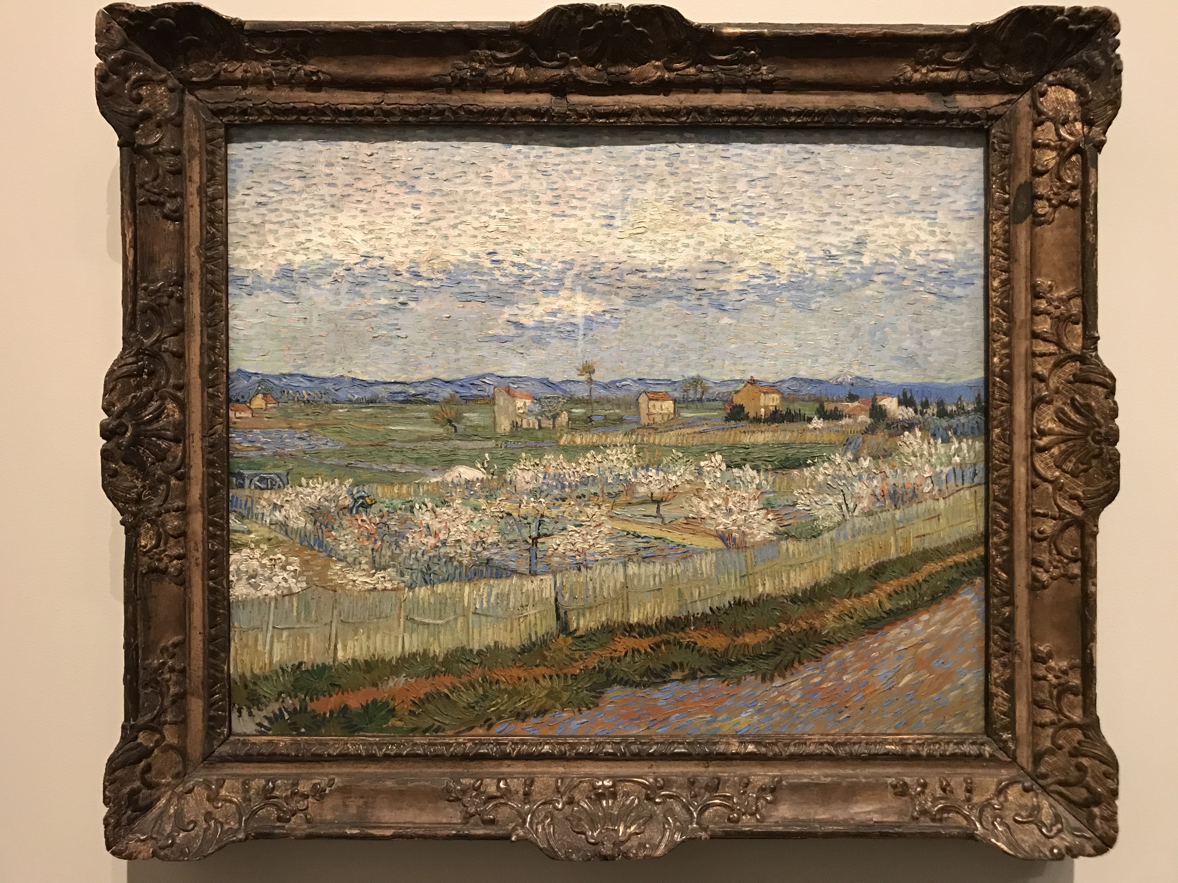 Activista climático irá a la cárcel por pegar su mano a un cuadro de Van Gogh