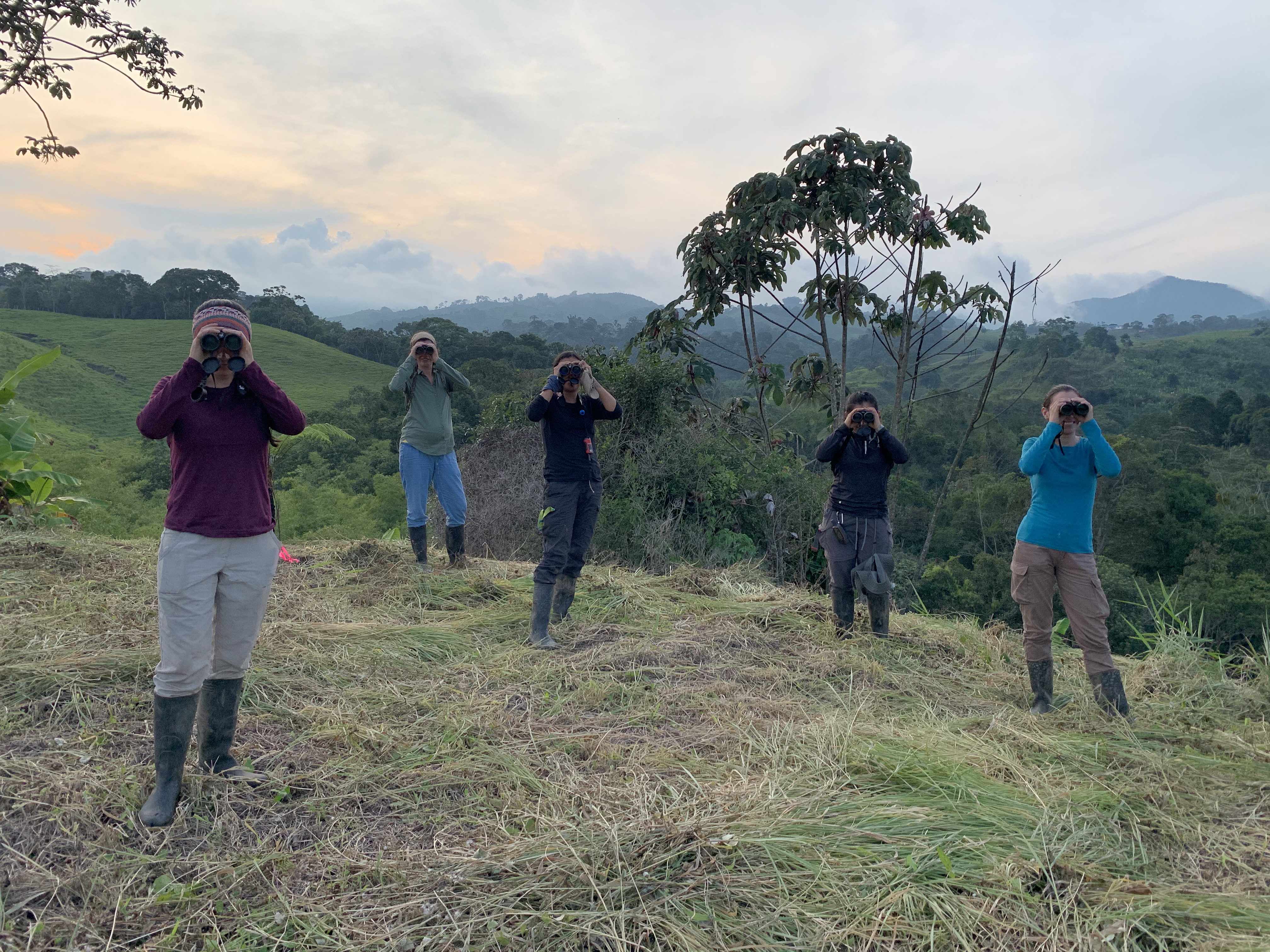 Finalizó la primera expedición femenina sobre aves en Colombia