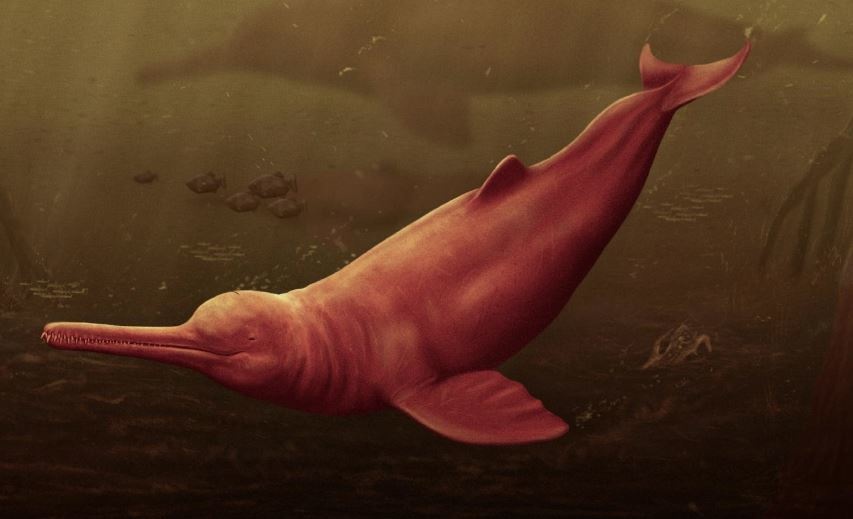 Reconstrucción artística de la yacuruna pebanista en las turbias aguas de la protoamazonia peruana. /JAIME BRAN
