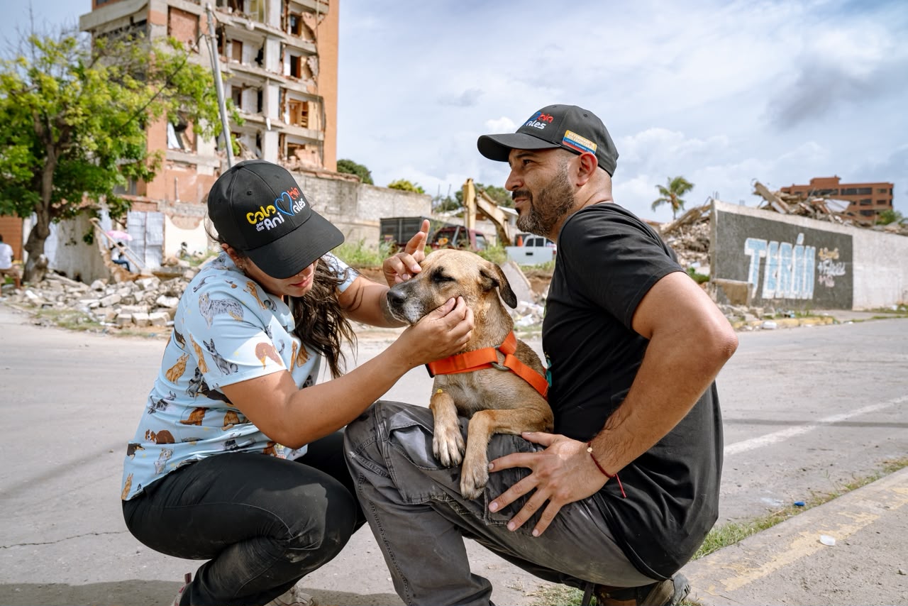 Esperan frente a casas que ya no existen: el drama de las mascotas en Venezuela