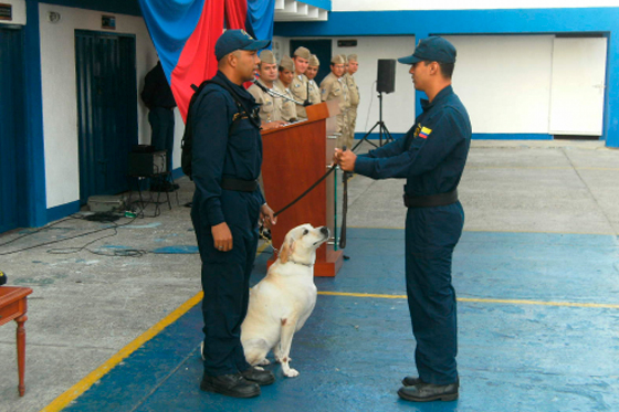 Armada jubila a «Mona», perrita que descubrió toneladas de coca