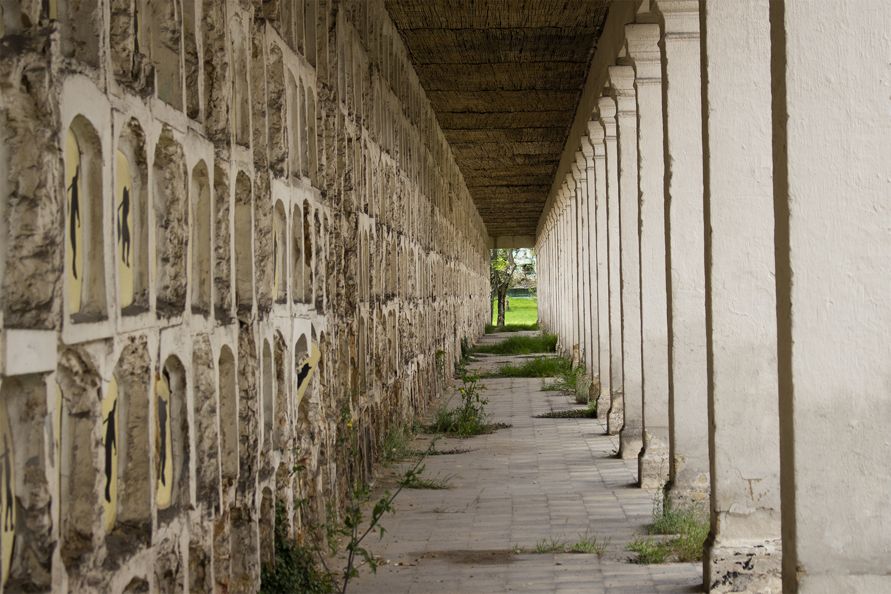 Cementerio (Cuentos de sábado en la tarde)