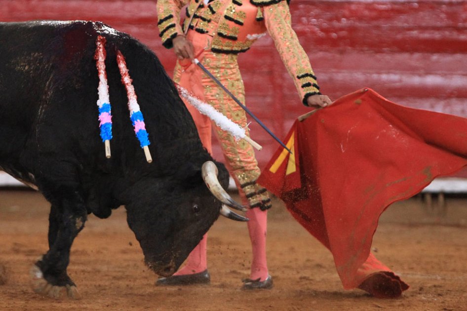 Alcaldía de Rionegro ratifica que son un municipio libre de corridas de toros