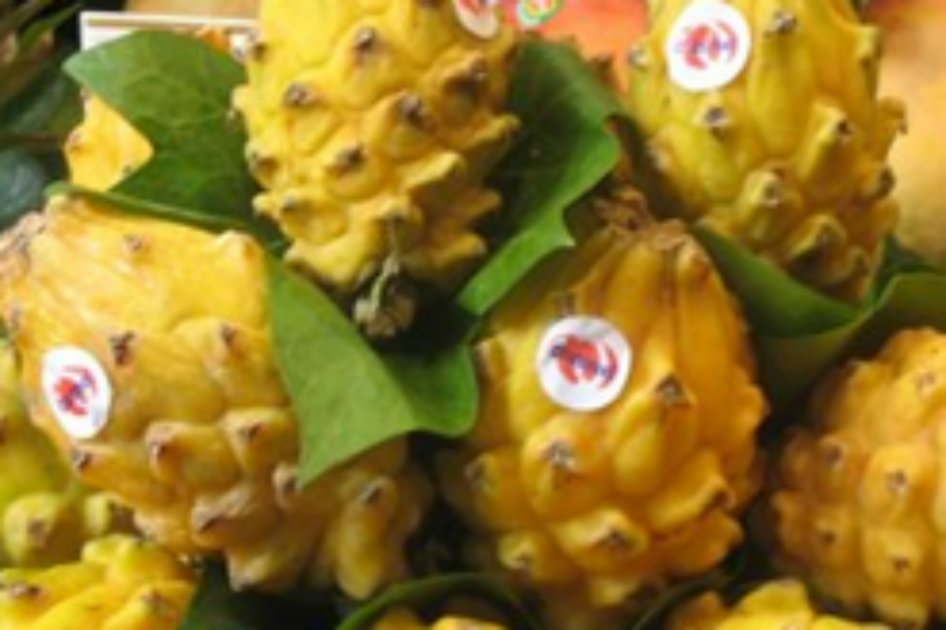 Colombia exportará pitahaya a Chile, dice ICA