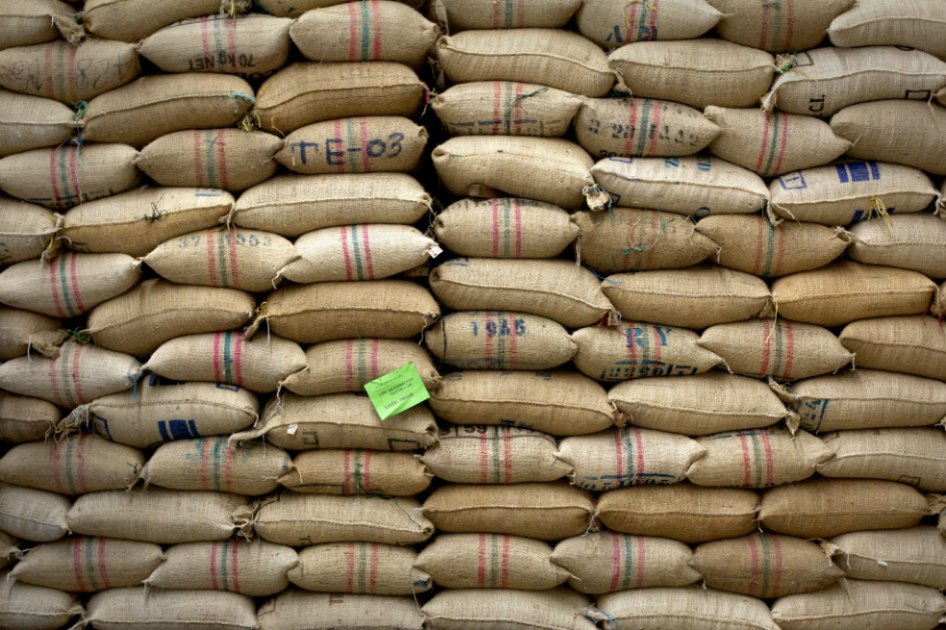 Producción cafetera cayó 8,7 % en febrero de 2019