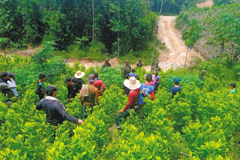 Gobierno de EE. UU. confía poco en plan de erradicación de Petro en Colombia