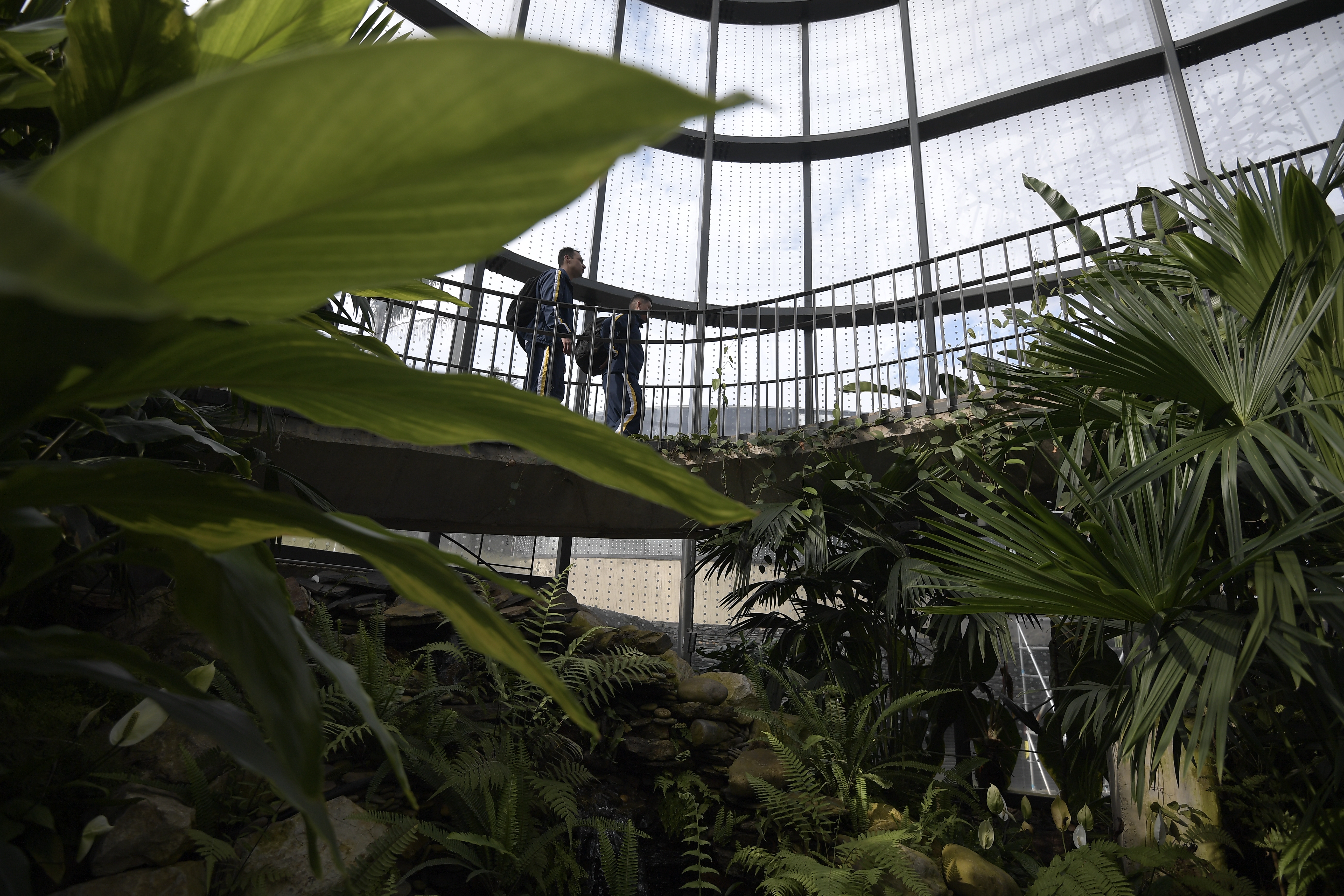 Prográmese el fin de semana: Jardín Botánico anunció cierre temporal para visitantes