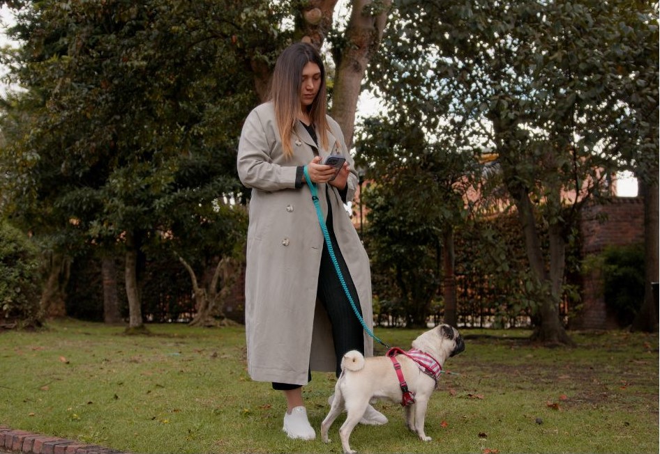 Uber Pet: así funciona la nueva plataforma para transporte de mascotas en el país