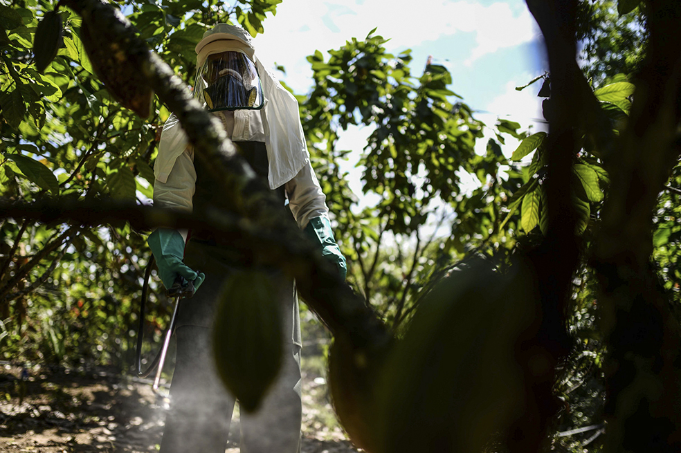 Productores podrán importar fertilizantes y plaguicidas a 0% arancel