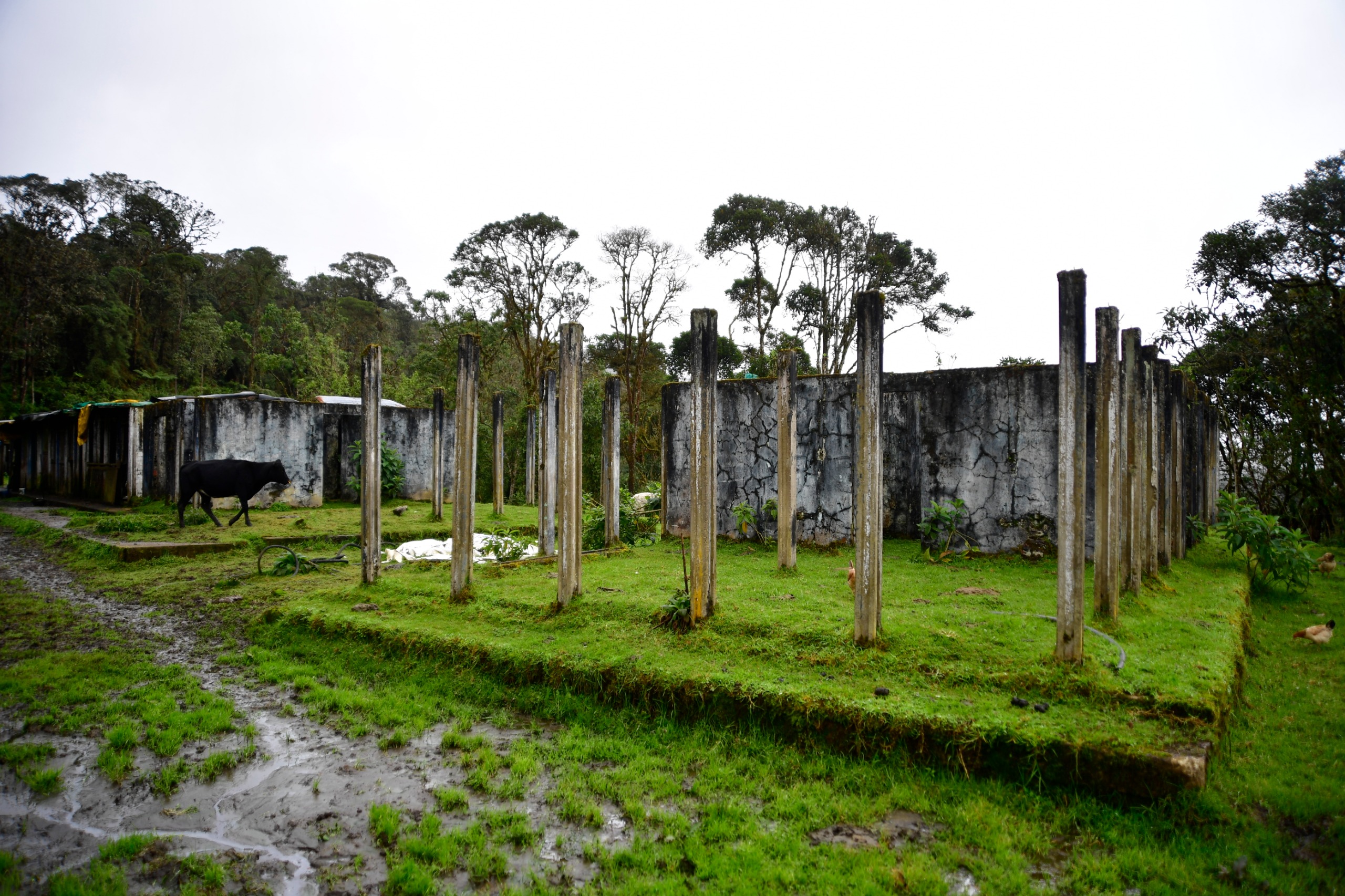 Ruinas del campamento que utilizaron los obreros durante la construcción de Chingaza. Los restos fueron utilizados para construir la nueva casa de los Avellaneda.