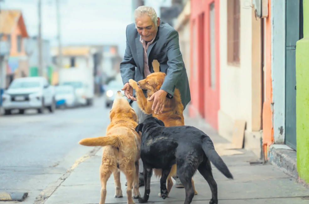 Hombre de 75 años empieza la carrera de veterinaria para ayudar a los animales