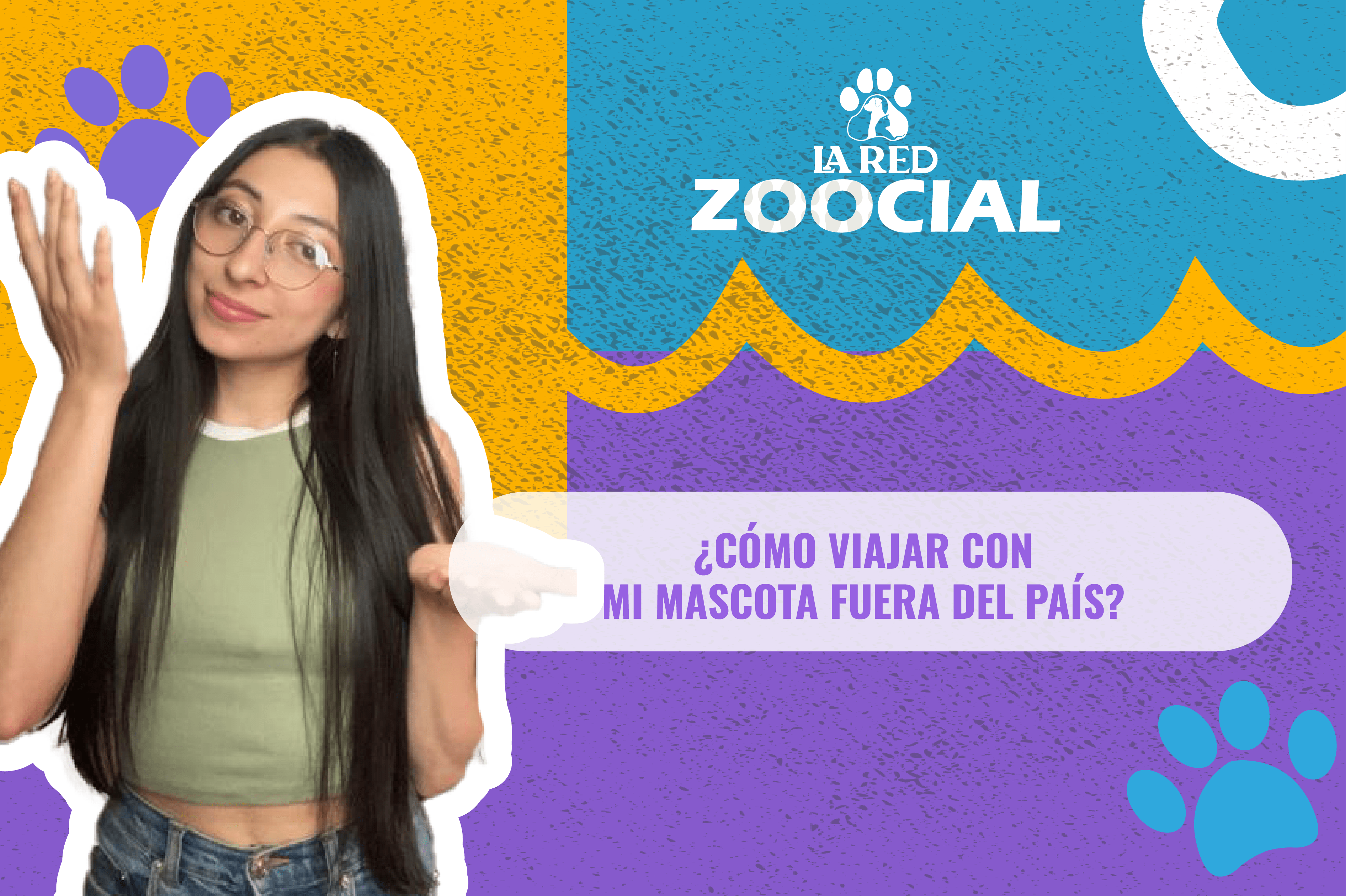 ¿Cómo viajar con mi mascota fuera del país?