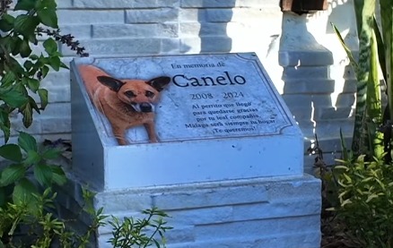 Canelo caminó 35 kilómetros para volver a donde fue amado: hoy una calle lleva su nombre