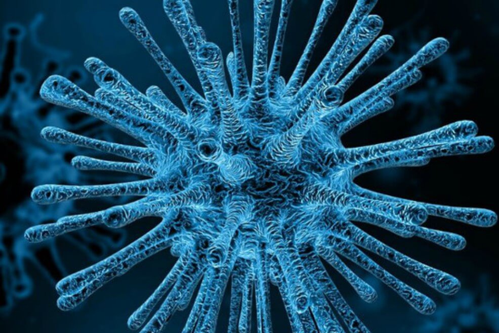 Los virus interactúan «socialmente» entre ellos para evadir al sistema inmunitario