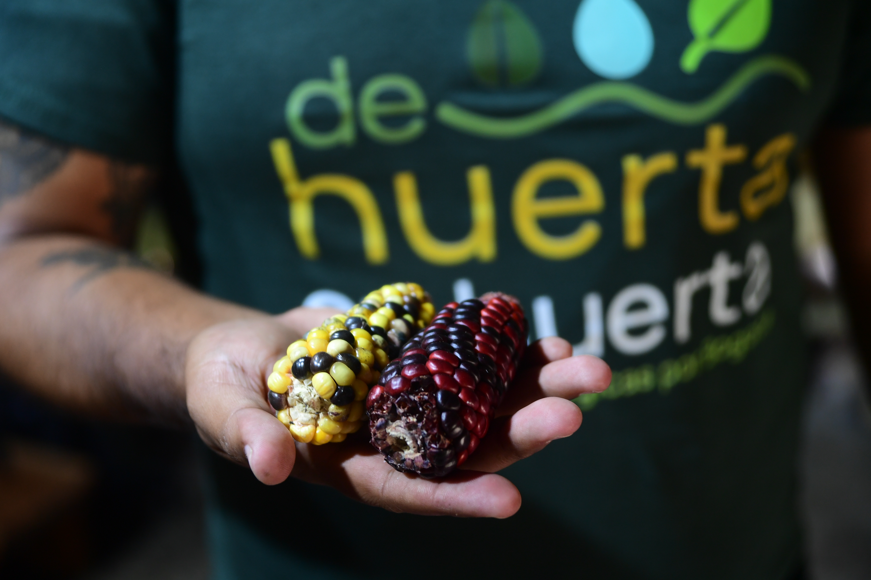 Red De Huertas turísticas en Bogotá