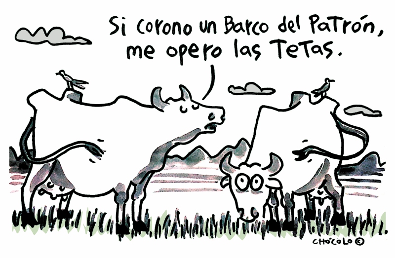 Las vacas traquetas