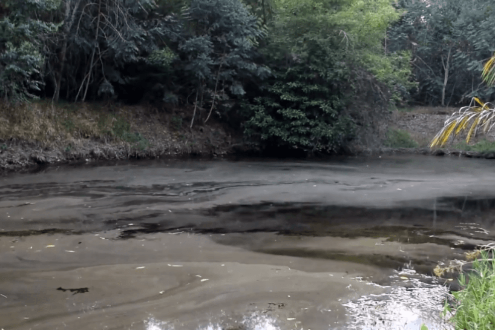 Por sequía, declaran calamidad pública en Sabana de Torres