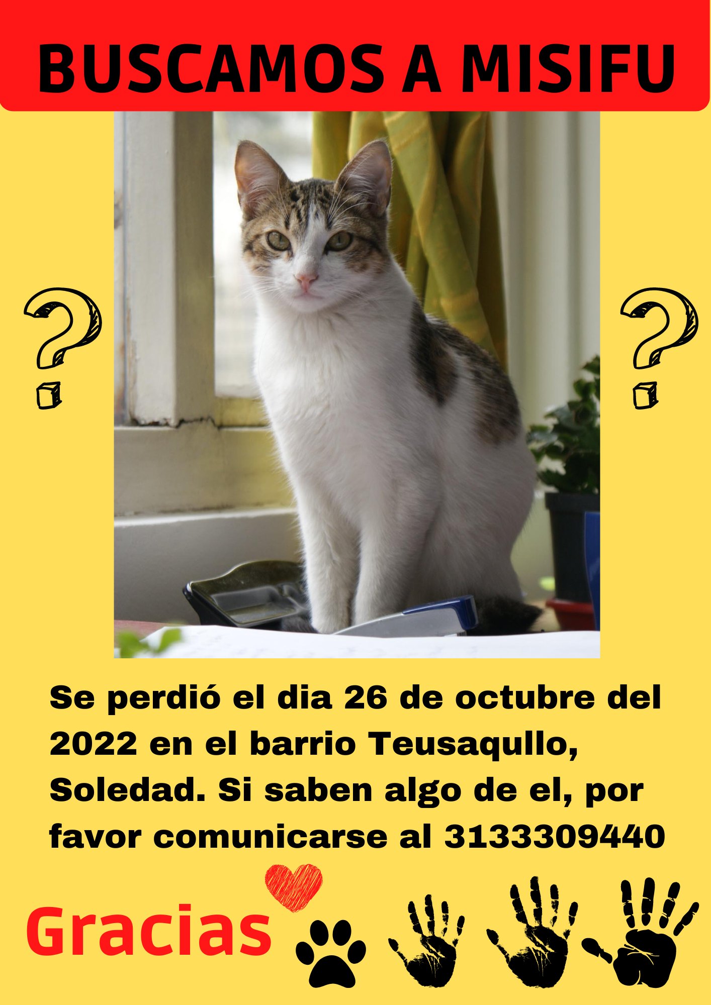 Misifu se perdió en el barrio La Soledad.