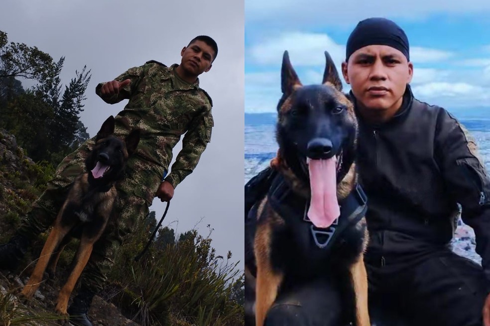 A Wilson, el perro rescatista, le están dejando prendas de su guía en la selva
