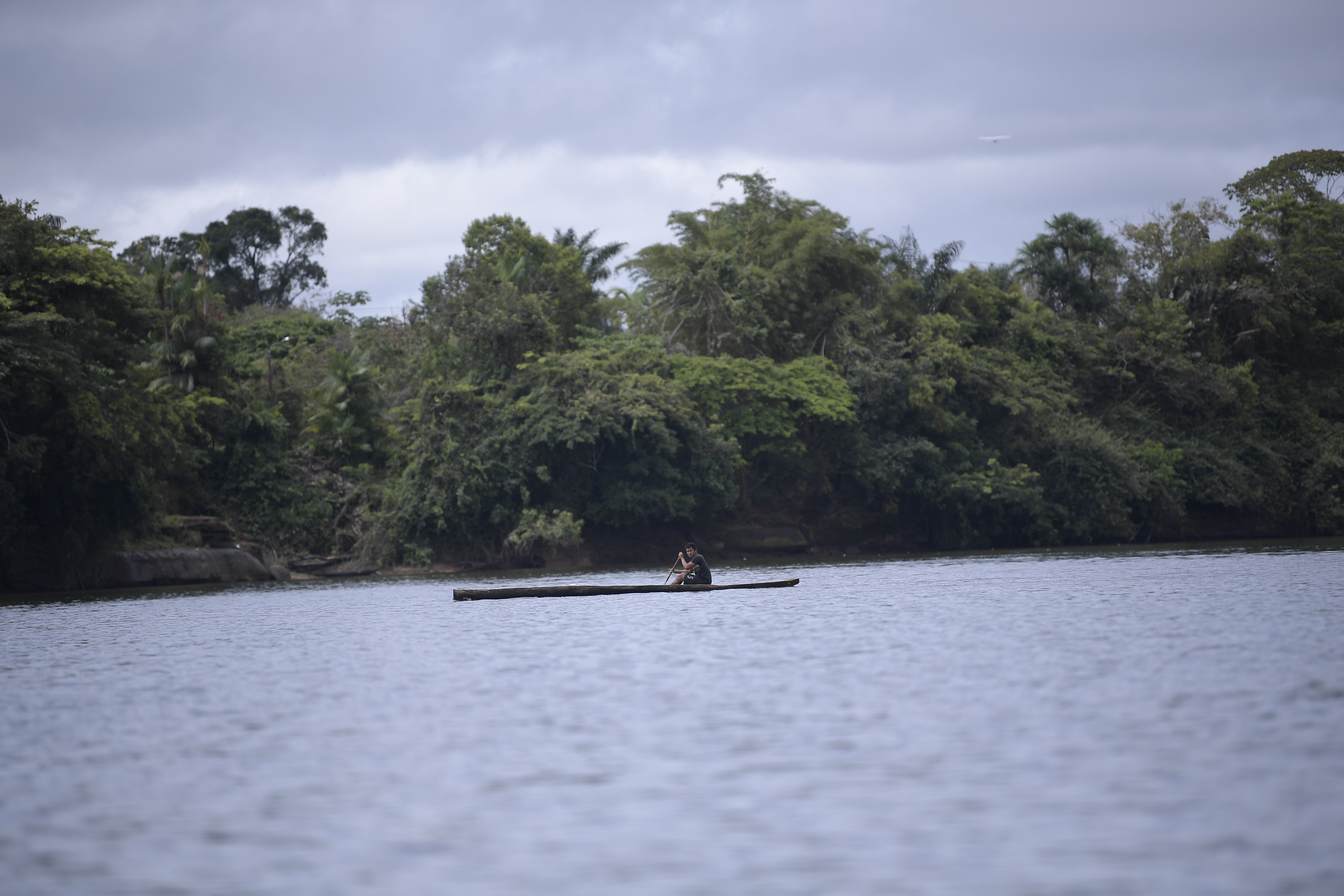 ¿Tiene un proyecto para estudiar la flora de la Amazonía? Esta convocatoria le interesa