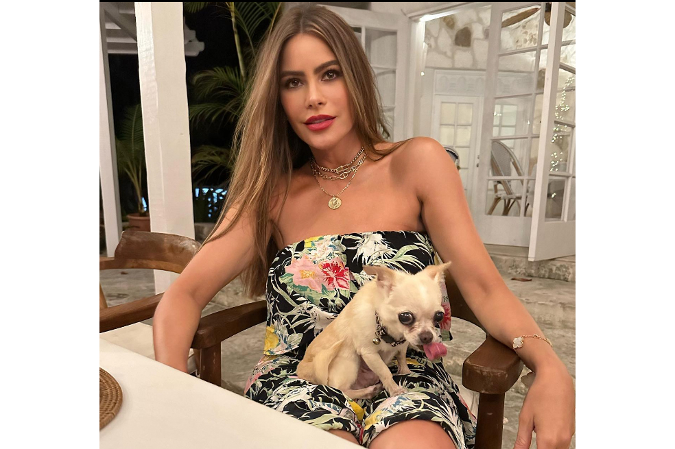 Sofía Vergara celebró en Cartagena, en compañía de su esposo Joe Manganiello.