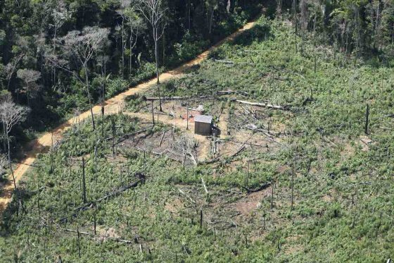 Estrategia para reducir 220.000 toneladas de CO2 en Colombia