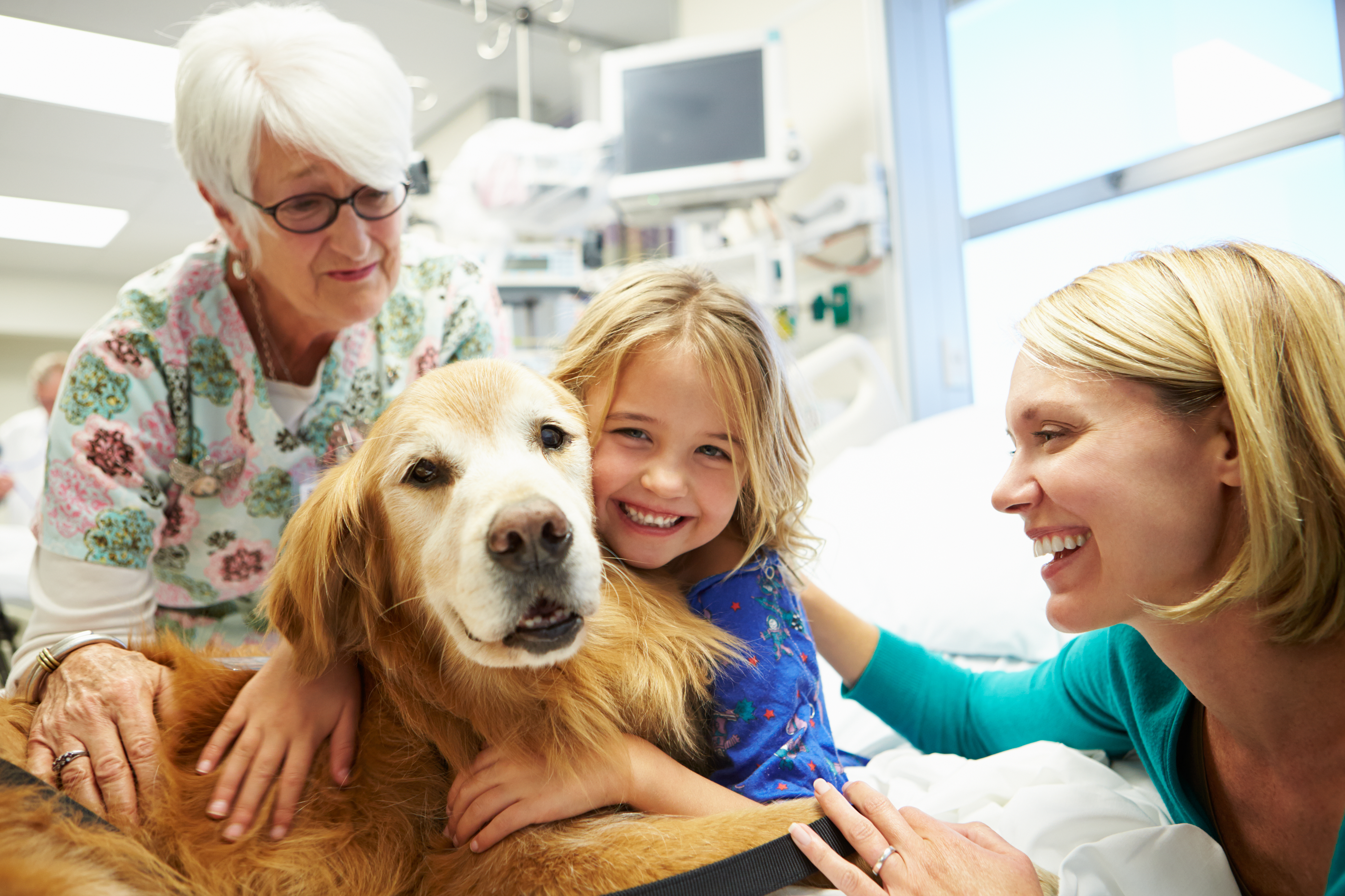 Terapias con perros mitigan el dolor de niños hospitalizados en España