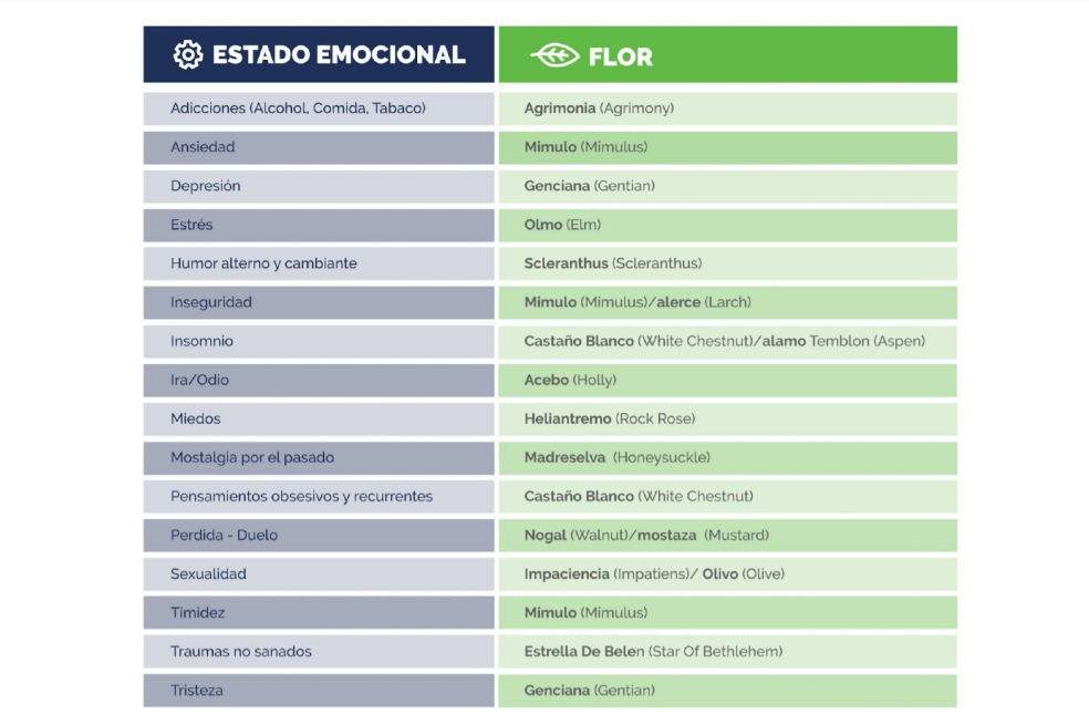 Las esencias florales en QUANTA.