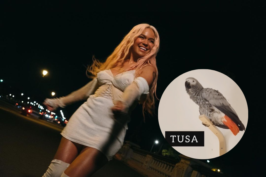 Las mascotas también son fanáticas de Karol G: loro canta ‘Tusa’ y se vuelve viral