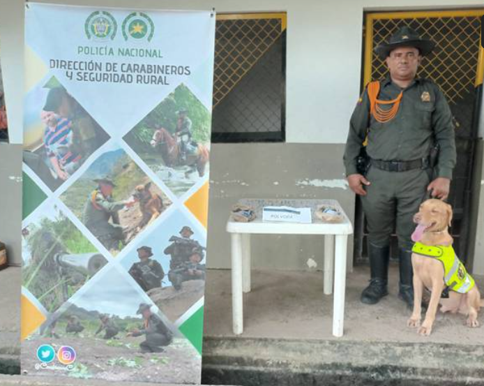 “Lukas”, el perro antipólvora que protegerá niños y niñas el 7 de diciembre