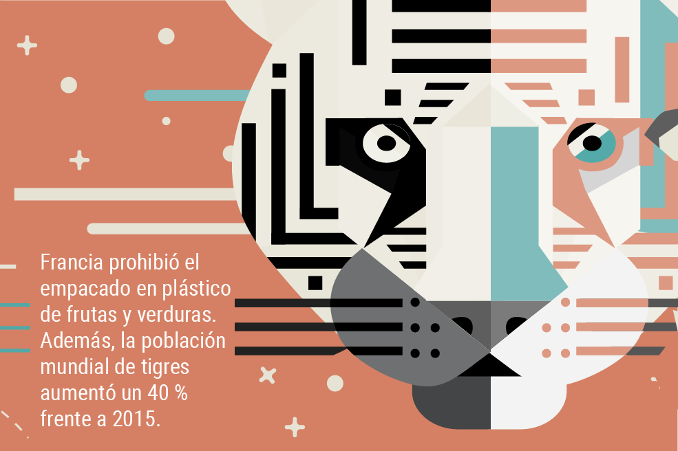 El mundo no es como lo pintan: algo bueno tenía que dejar 2022.