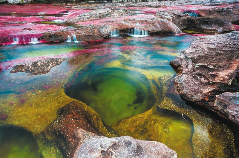 Caño Cristales, en La Macarena, Meta