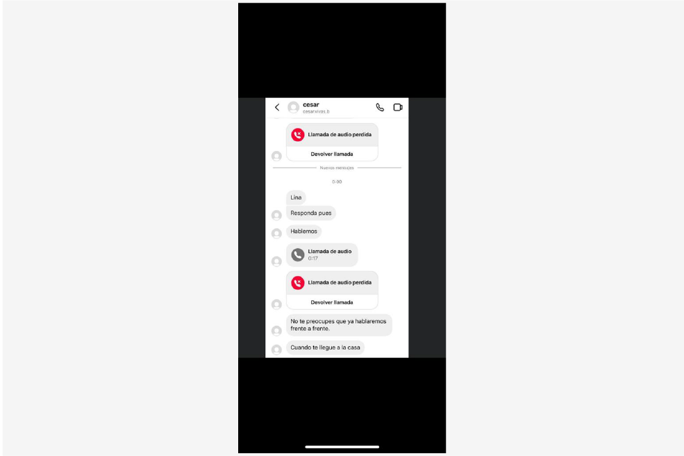 Mensaje enviado por Cesar Vivas a Lina Rezk por redes sociales.