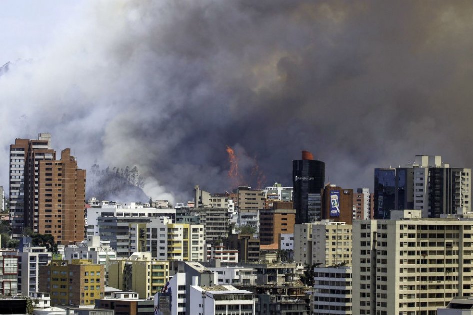 Declaran emergencia en Quito por ola de incendios forestales