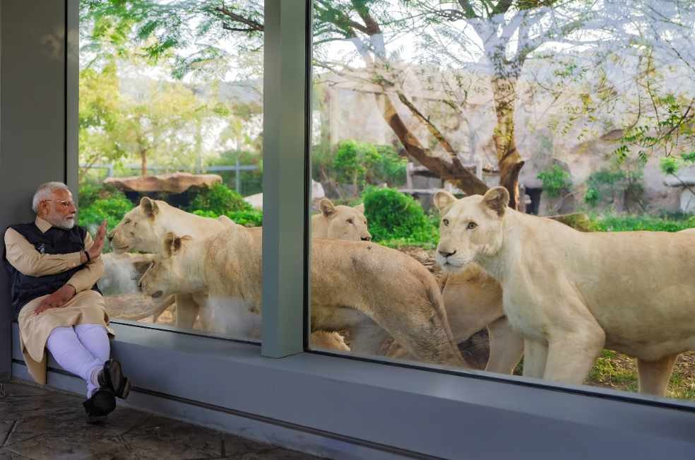 Impresionante: así es el nuevo santuario animal más grande del mundo
