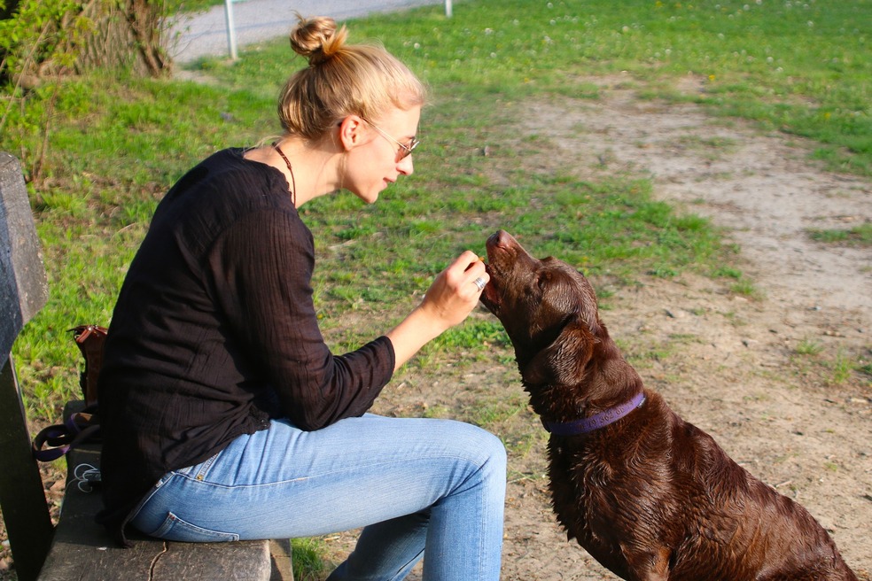 Dieta BARF: una tendencia cargada de potenciales riesgos para la salud de mascotas