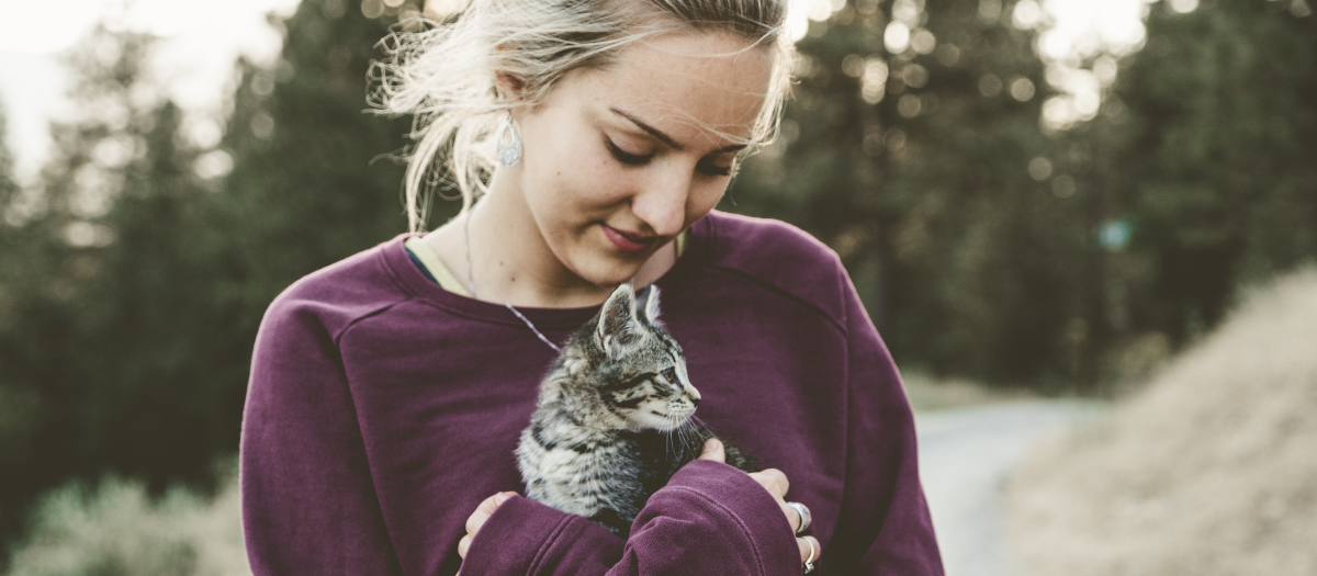 5 beneficios de tener un gato en casa