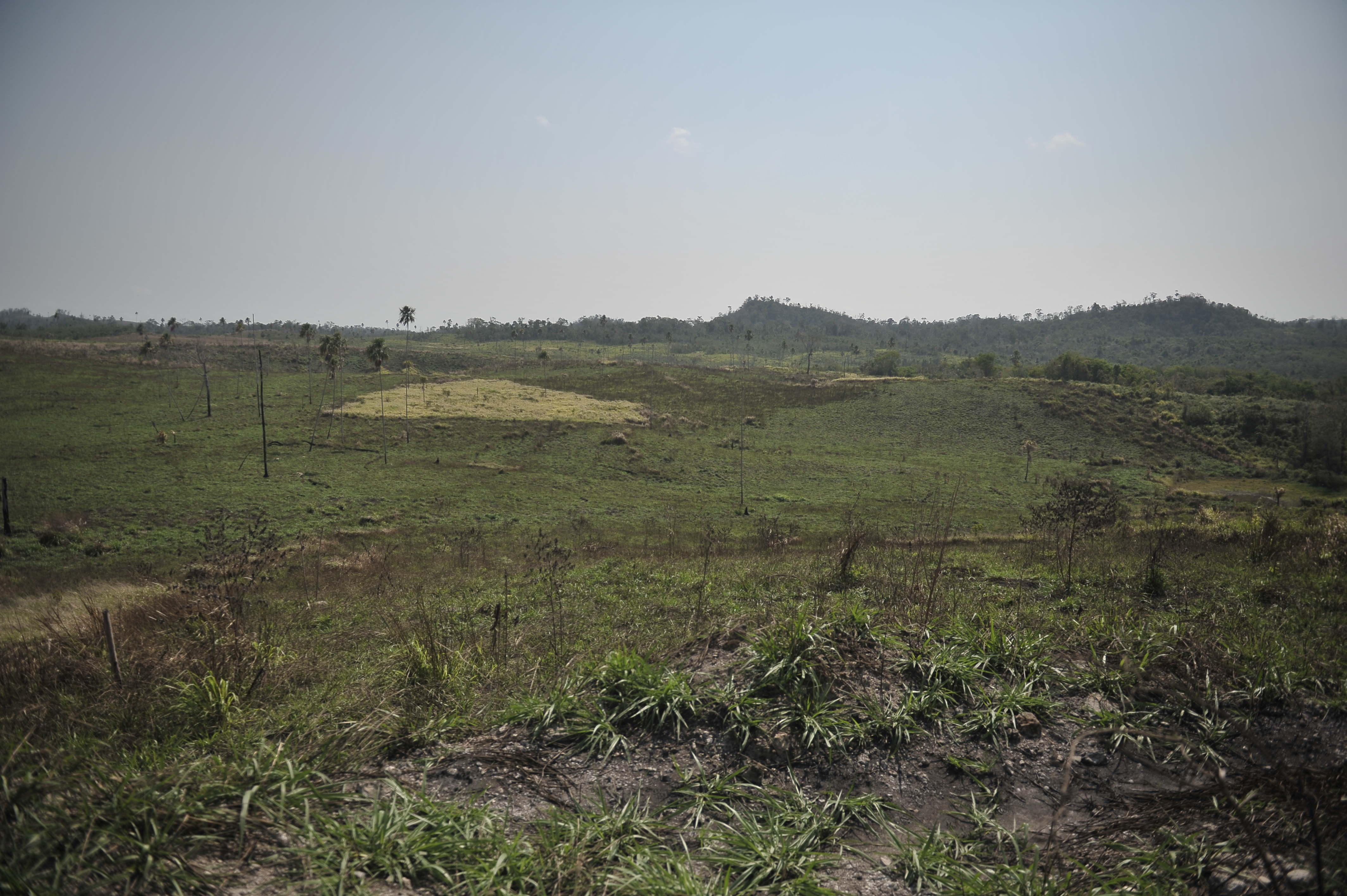El gobierno Petro quiere restaurar un área del tamaño de Caldas