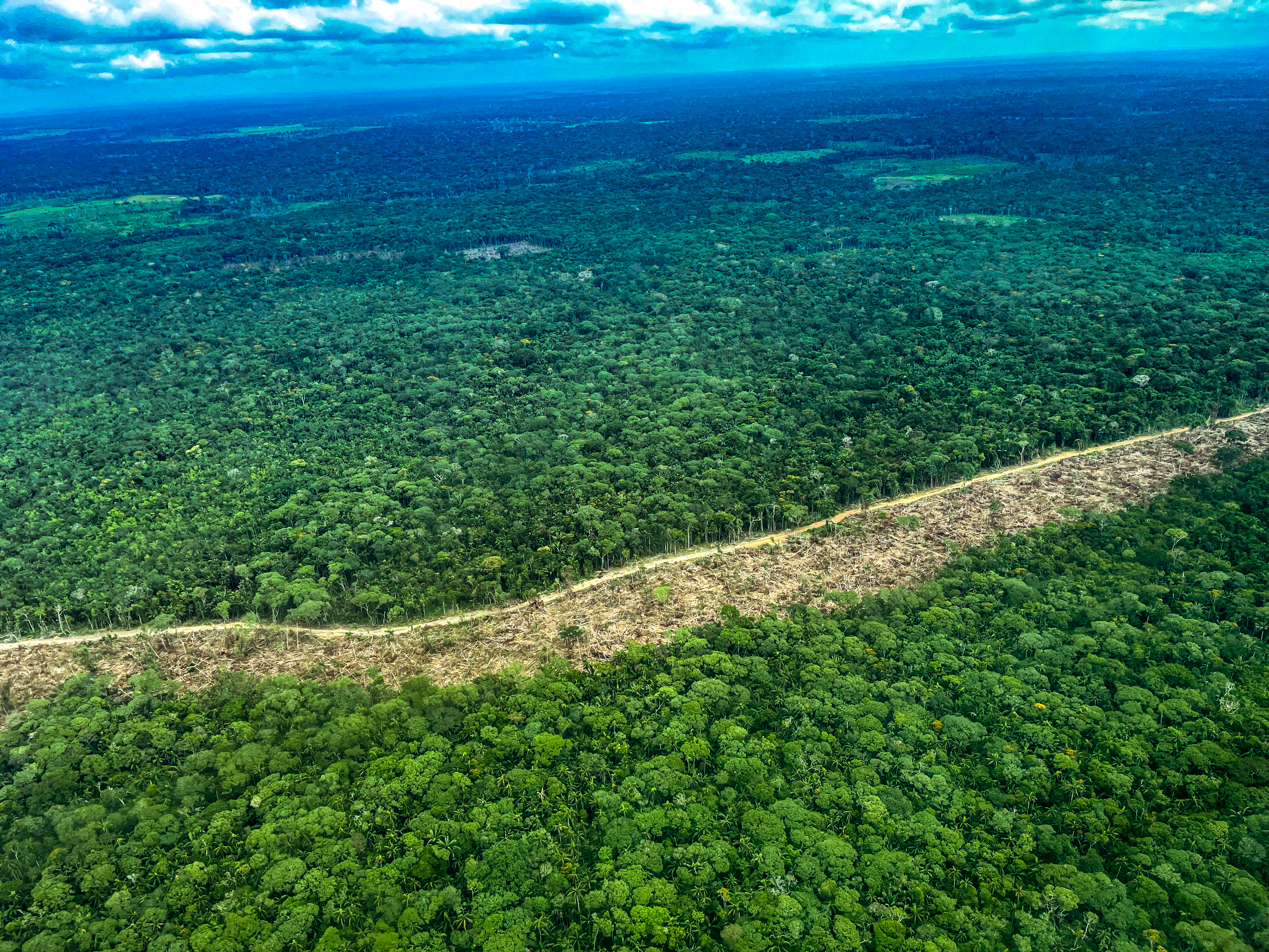 Deforestación en la Amazonía habría aumentado en los últimos meses de 2023: Minambiente