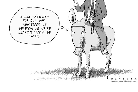 Solo Burradas