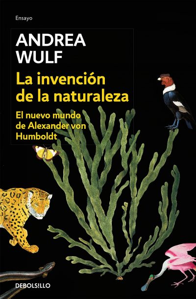 Libro