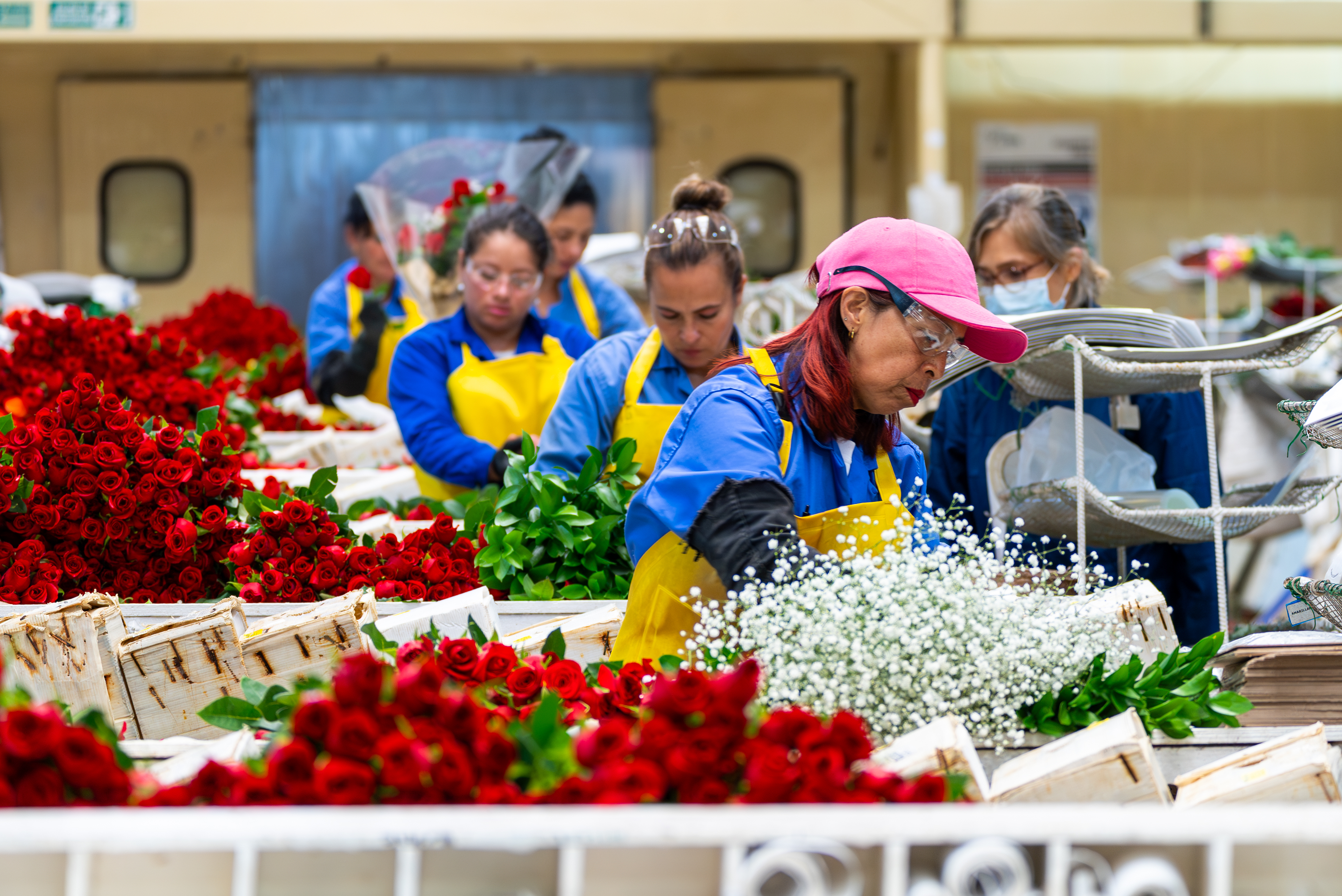 Flores colombianas para el Día de la Madre: las que más se exportan y otros datos clave
