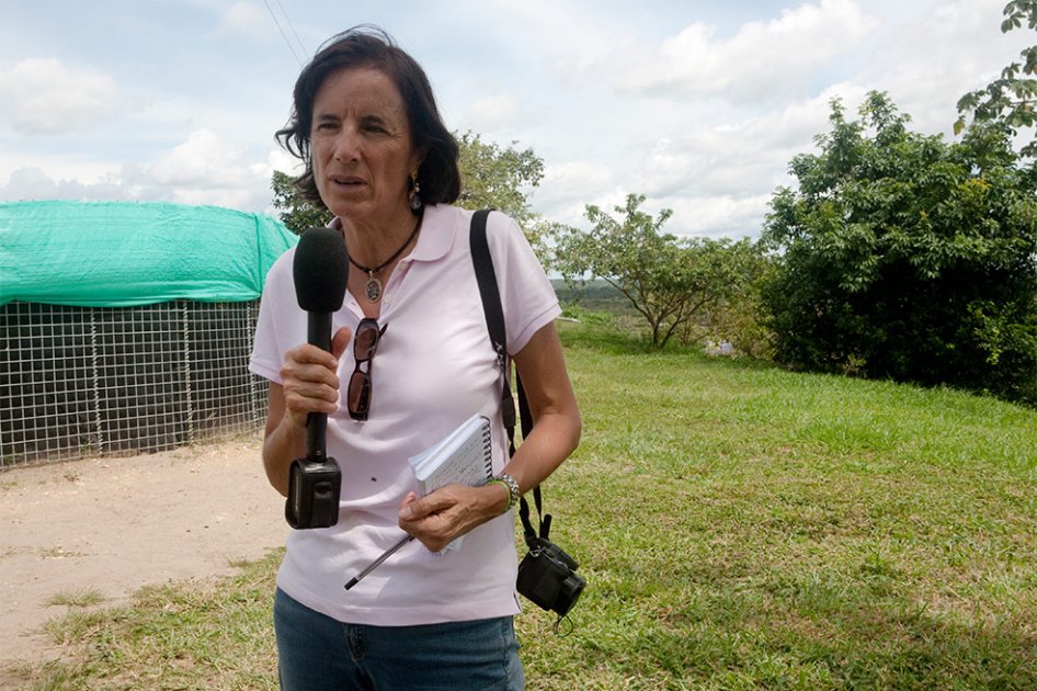 Versión que tiene el Gobierno es que ELN trata de devolver a Salud Hernández
