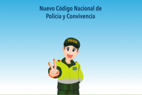 Un buen Código con vacíos preocupantes