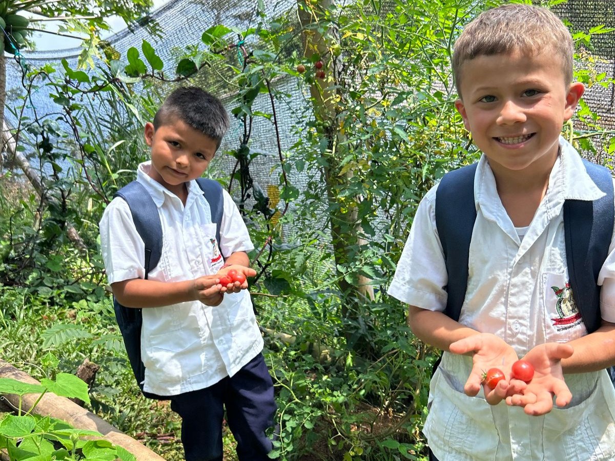 Cultivando Vida hace un llamado a instituciones educativas, comunidades y autoridades territoriales para reconocer el valor fundamental de conectar a los niños con los procesos naturales de producción alimentaria.
