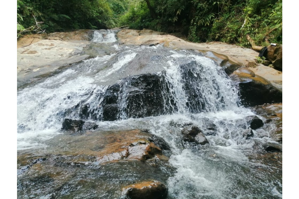 Ecoturismo para la paz: víctimas del conflicto lo promueven en Jamundí