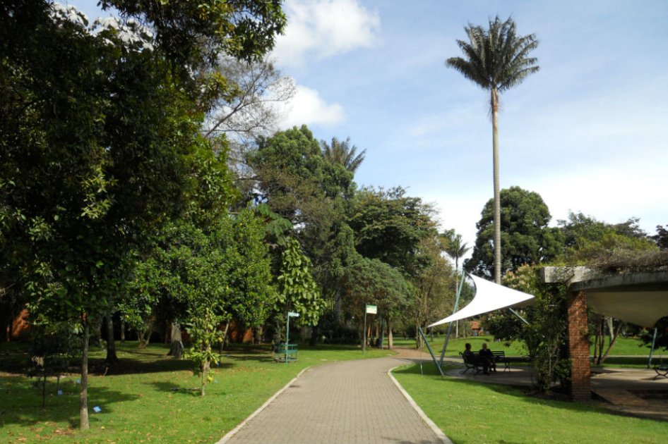 Distrito desmiente abuso de menor de 14 años en Jardín Botánico