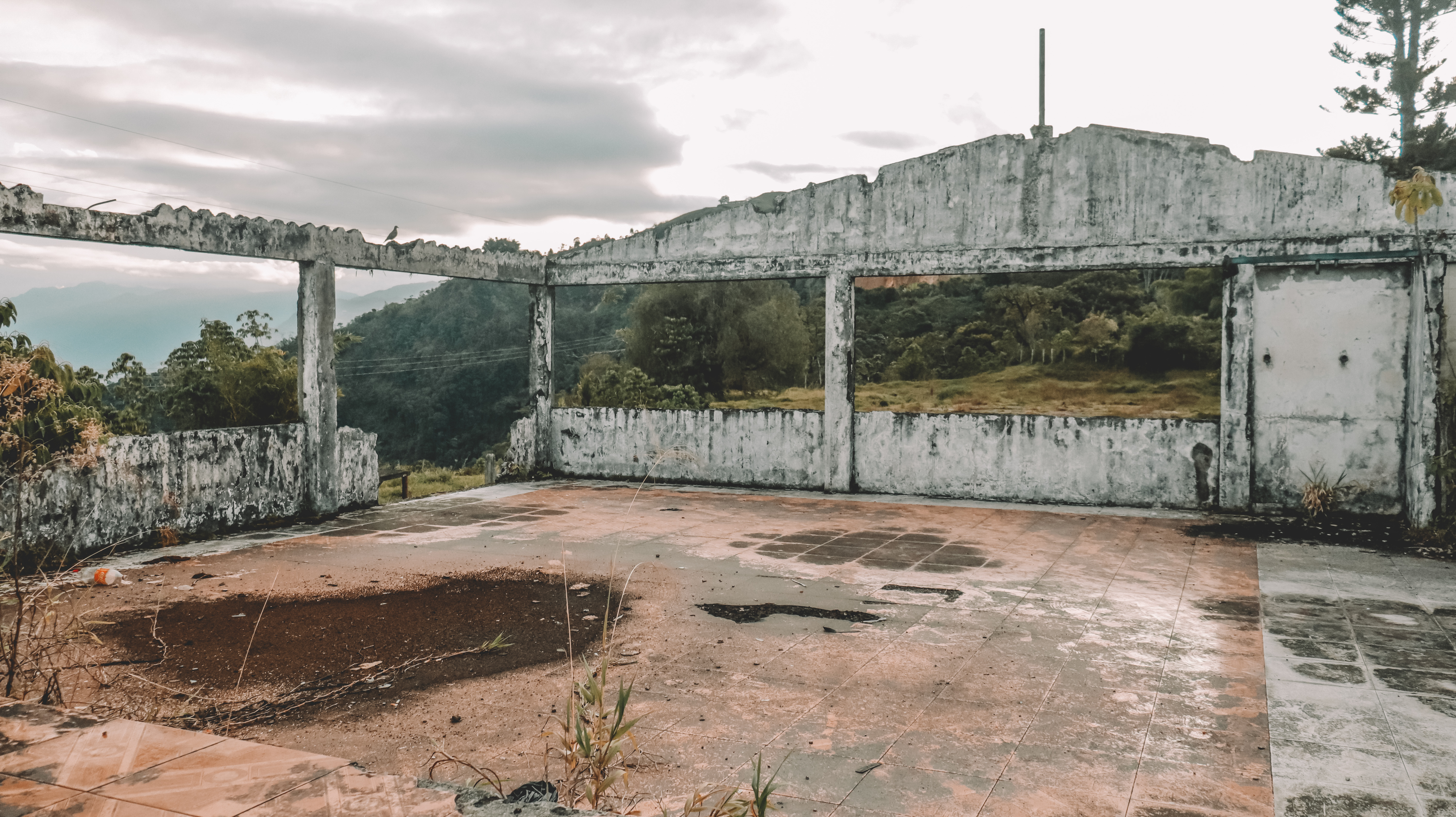 “Con los planes regionales hemos entendido que los grupos armados no se limitaron por las divisiones administrativas en municipios o departamentos, y muchas veces llevaron a sus víctimas a otros lugares. Eso nos lleva a expandirnos para poder hacer planes más integrales de búsqueda de desaparecidos”, explicó  Diana Arango, directora de Equitas.